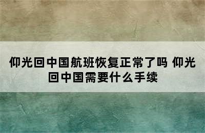 仰光回中国航班恢复正常了吗 仰光回中国需要什么手续